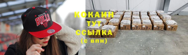 МДПВ Каменногорск
