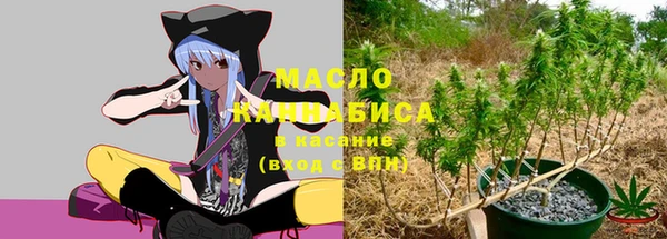 МДПВ Каменногорск