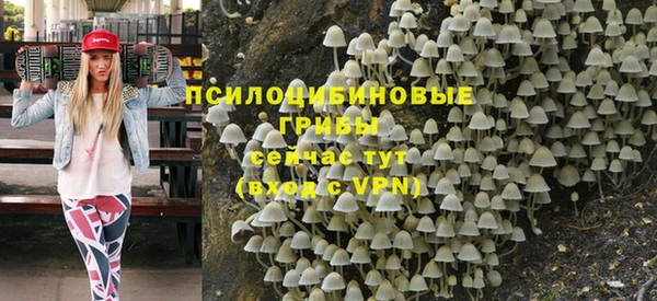 МДПВ Каменногорск