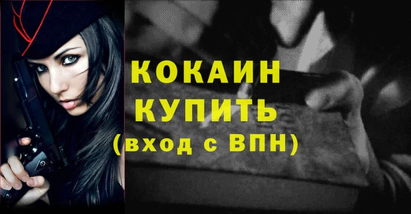 МДПВ Каменногорск