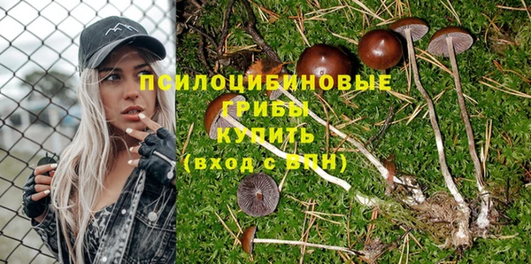 метадон Каменск-Шахтинский