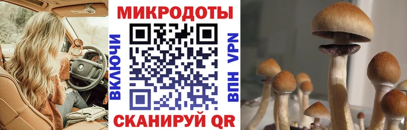 Купить  Волосово  Галлюциногенные грибы GOLDEN TEACHER 