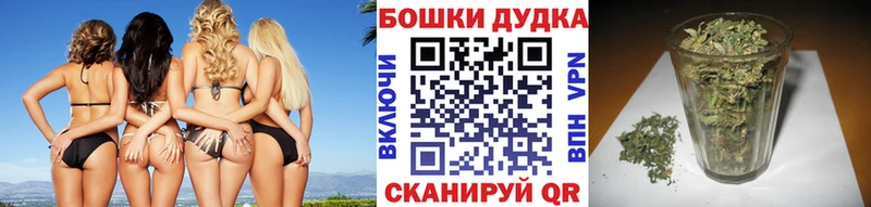 Бошки марихуана индика  Купить где  Волосово 
